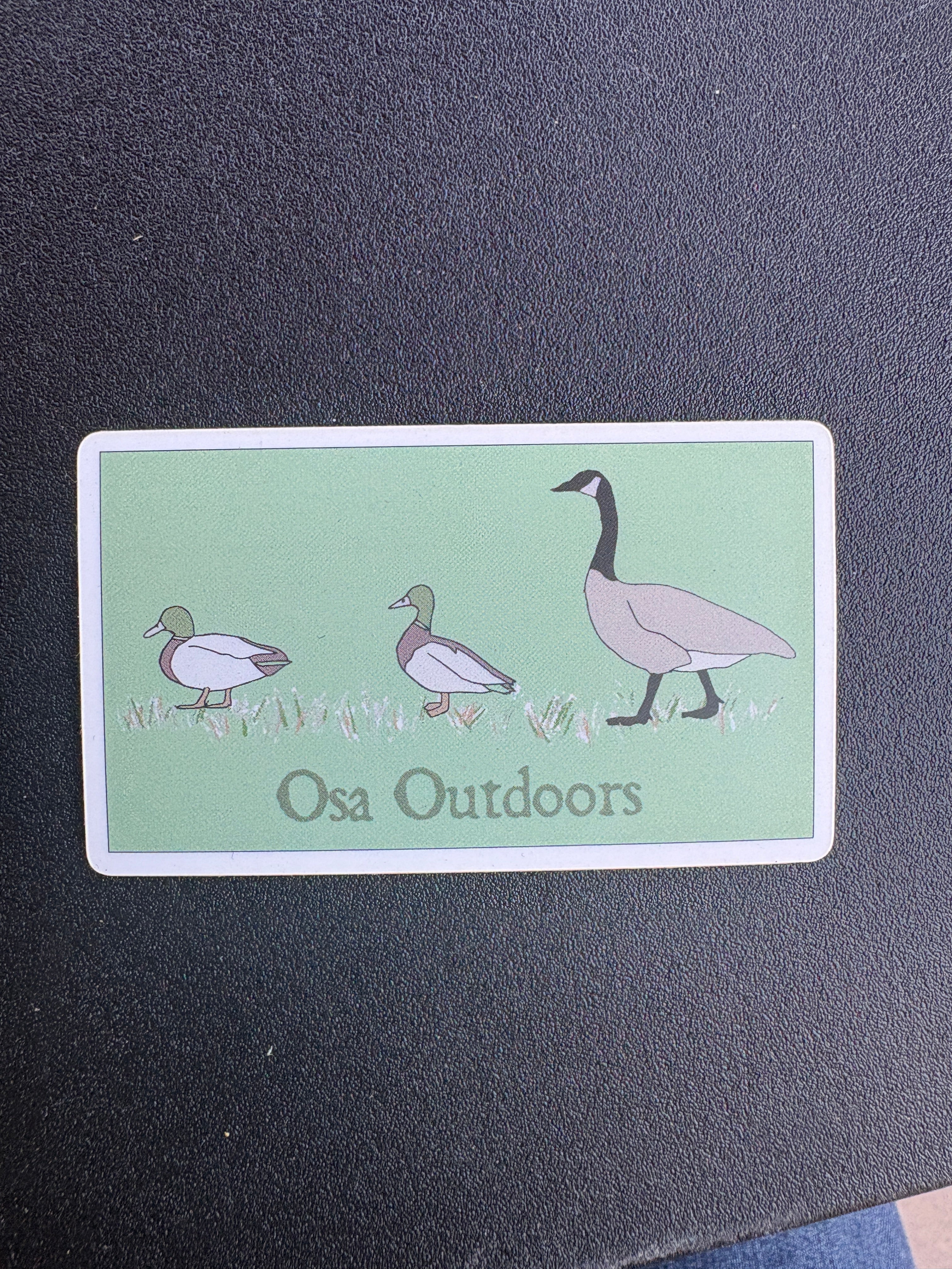 Duck, Duck, Goose!