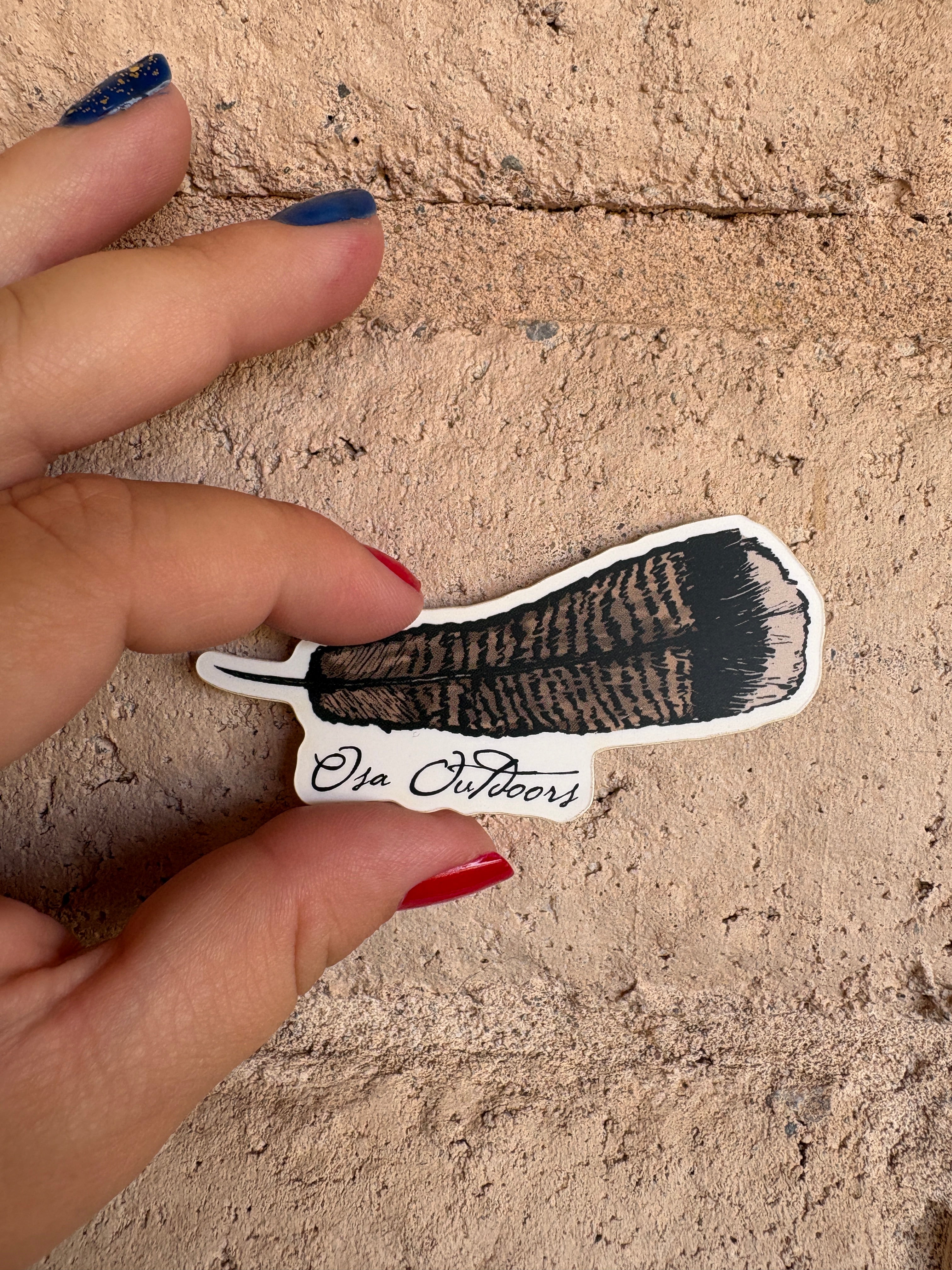 Turkey Feather