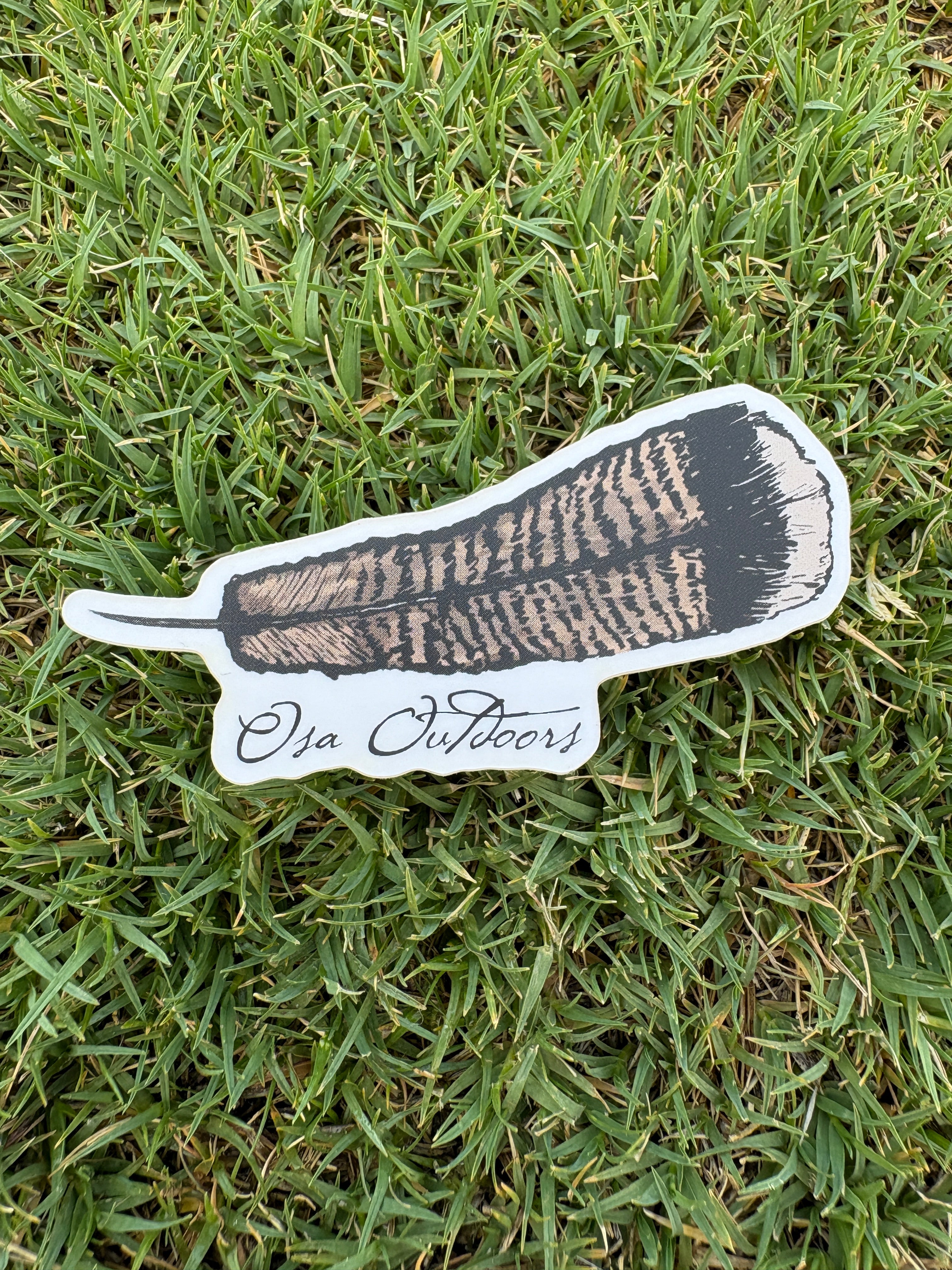 Turkey Feather